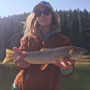 Meet your Posher, Amelianne